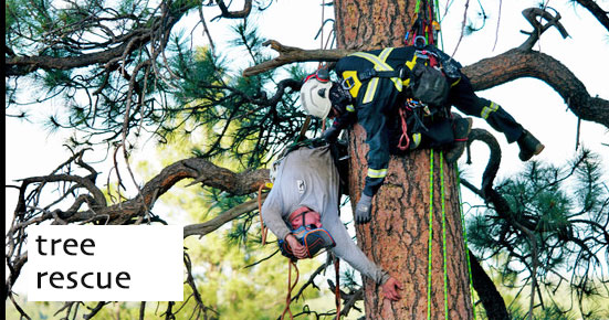 tree rescue slide